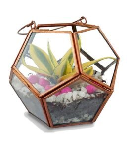 Pentagon terrarium set