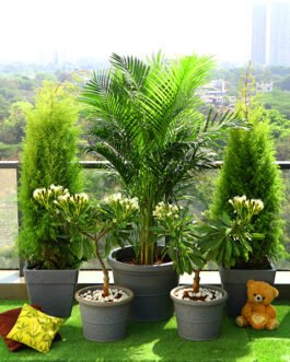 Outdoor